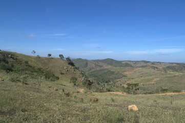 Obraz premium One of the most outstanding characteristics of Venezuela is its immense greenery, large jungles, forests and savannahs fill the territory.