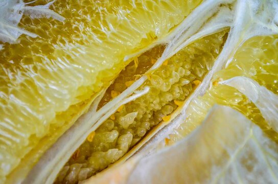 A close up of a peeled orange, revealing its inner structure. The orange is sliced open, and the white pith is visible, along with the seeds. Concept of curiosity and exploration