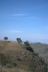 One of the most outstanding characteristics of Venezuela is its immense greenery, large jungles, forests and savannahs fill the territory.