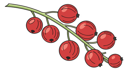 Glossy red currants hanging on a slender green stem with realistic shine and soft highlights, isolated on white.

