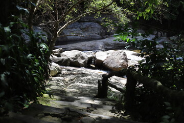 Shaded stone steps lead down to a serene rocky stream surrounded by lush jungle vegetation, with...