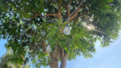 A blurred image showing a light bulb hanging from a string, with a soft green tree and blue sky out of focus in the background.