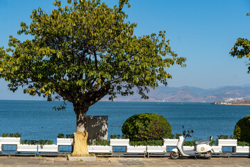 tropical beach with palm trees and sea