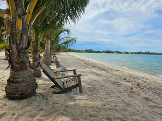 Caribbean Tropical Beach Paradise Relaxation