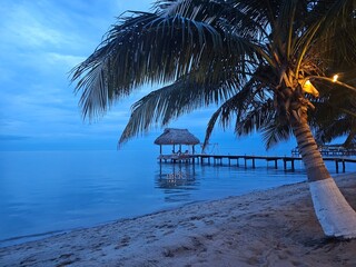 Beach at Dusk Gazebo Palm Tree