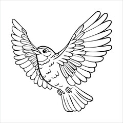 A detailed line drawing of a bird in flight. The bird has outstretched wings and a rounded body, showcasing intricate feather patterns.