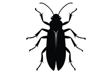 Silhouette illustration of a blister beetle insect on a white background