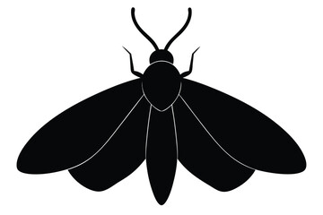 Silhouette illustration of a cabbage moth insect on a clean white background