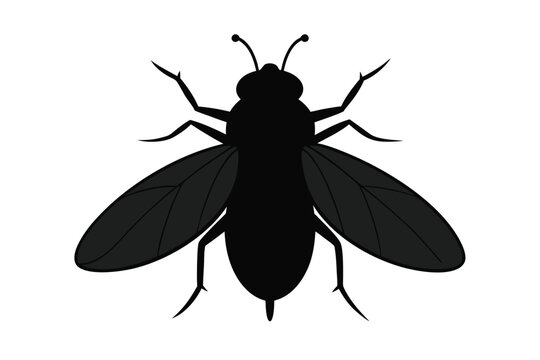 Silhouette illustration of a botfly insect on a clean white background
