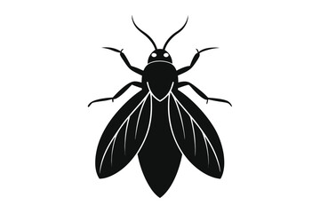 Detailed silhouette illustration of a corn borer insect on a white background