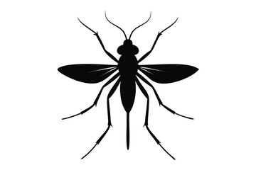 Silhouette illustration of a fungus gnat insect on a clean white background
