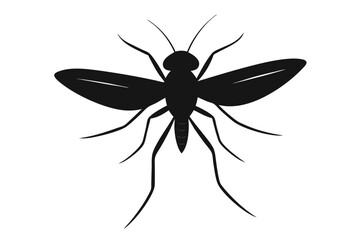 Detailed silhouette illustration of a gall midge insect on a clean white background