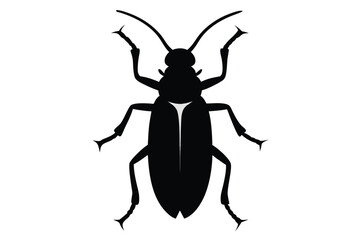vector silhouette of a black beetle