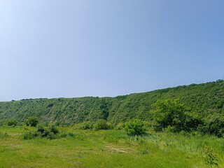 Naklejka premium A lush green hillside with a clear blue sky. The hillside is covered in trees and grass, creating a peaceful and serene atmosphere