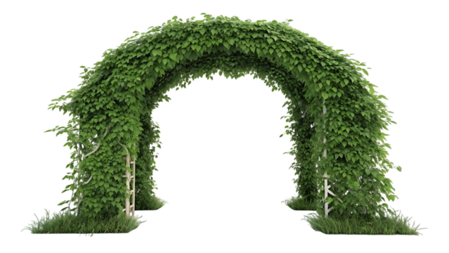 Green leafy archway for events isolated on transparent background