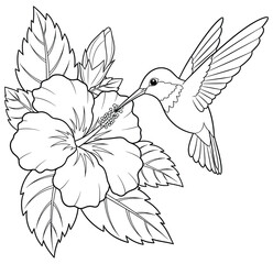Hummingbird sipping nectar from hibiscus flower – elegant floral line art for adult coloring