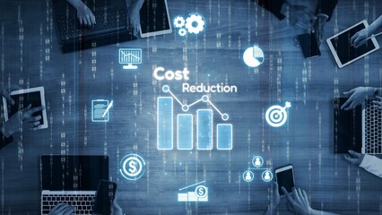Cost reduction and cost saving through digital transformation, business cost optimization, operational cost reduction, financial savings, and resource efficiency strategies for business success. Muxer
