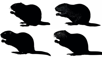 Beaver animal rodent wildlife mammal nature castor fiber black beaver tail illustration animal beaver silhouette