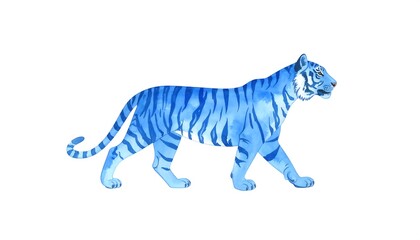 Side view of a vibrant blue tiger © Bagong