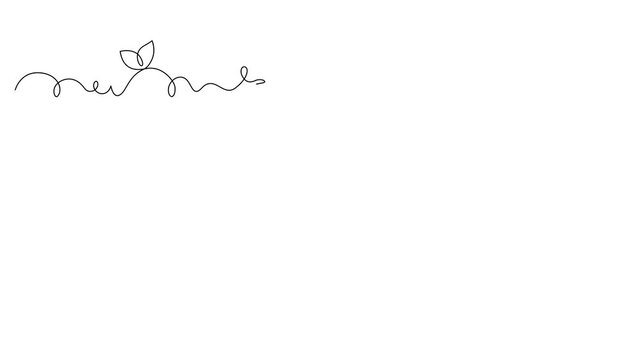 Frame with intricate lines and flowers, animated self drawing of single continuous line, contour movement, video drawing line in 4k, abstract, minimalism, natural aesthetics, border, one line