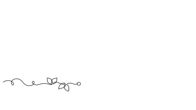 Frame with intricate lines and flowers, animated self drawing of single continuous line, contour movement, video drawing line in 4k, abstract, minimalism, natural aesthetics, border, one line