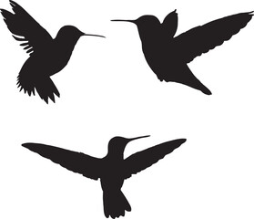 set of birds