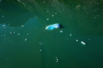Iceberg Floating in Ocean Water of Bay or Fjord in Alaska