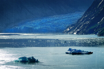 Dawes Glacier Down to the Ocean in Alaska Ice Bergs Floating in Sea Water