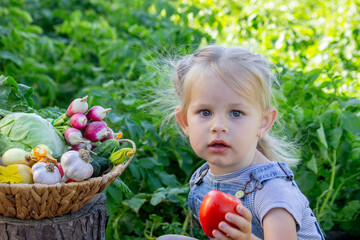 little girl with vegetables in the garden. Selective focus