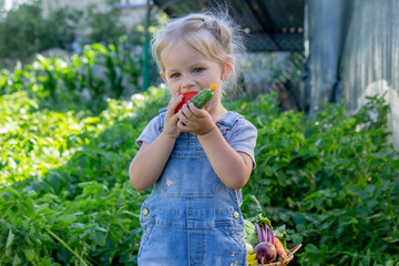 little girl with vegetables in the garden. Selective focus