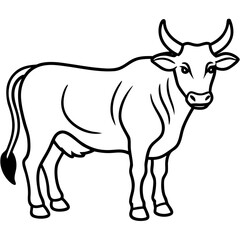 Cow on a transparent background