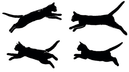 Black cat silhouette jumping cats domestic animals feline pet action pose isolated white background