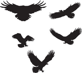 set of eagle