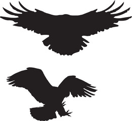 eagle silhouette vector