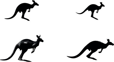 Kangaroo silhouette australia wildlife animal vector illustration design graphic art image australian kangaroo