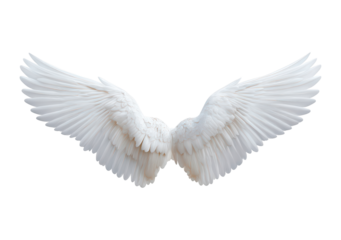 Elegant white angel wings with detailed feathers on transparent background, PNG