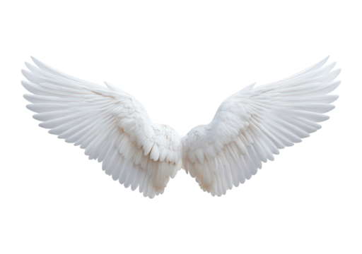 Elegant white angel wings with detailed feathers on transparent background, PNG