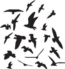 silhouettes of birds