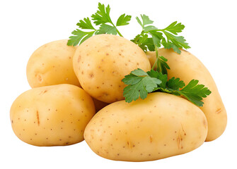 Fresh golden potatoes with parsley garnish on a clean white background highlighting freshness