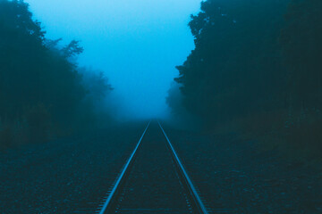 Dark forest railway disappearing in mist.