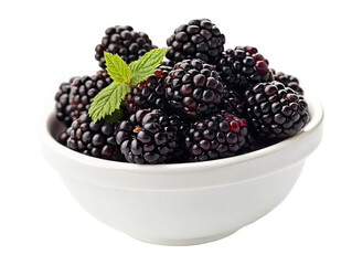 A white ceramic bowl filled with fresh blackberries topped with a green mint leaf isolated