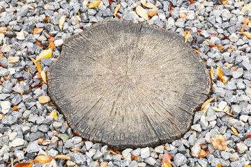 Concrete tree stump