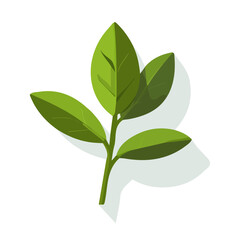 My Simple flat 2D icon of  sage branch isolated on a white background, vector design, ideal for animation, vector, web design, digital illustrations, and minimalist