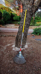 Garden maintenance concept with metal rake resting against tree in natural park setting. Vertical banner