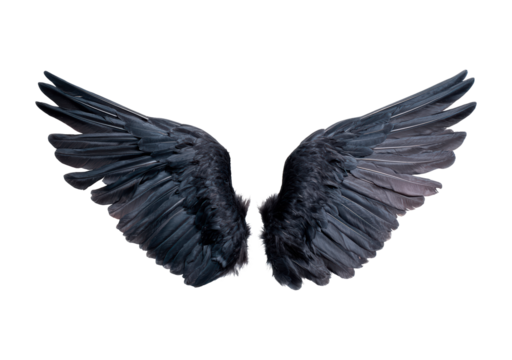Black feathered wings on transparent background, PNG