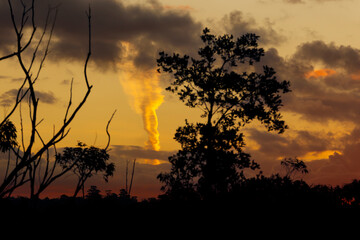 Photograph of a vibrant orange Thunderhead Cloud at sunset over Sassafras Gully in the town of Springwood in the Blue Mountains in NSW, Australia.