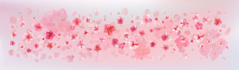 Delicate light pink sakura flowers flow. Wind swirls