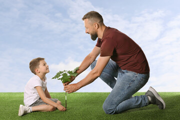 Father and his son planting tree into ground outdoors