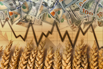 Rising grain price. Ears of wheat, graph and dollar bills, multiple exposure