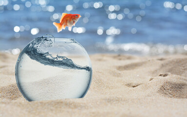 Goldfish jumping out of glass fish bowl into sea at beach